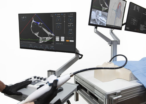 Simulatore per puntura - Trinity - Medical Simulation Technologies - didattico / di anatomia / workstation