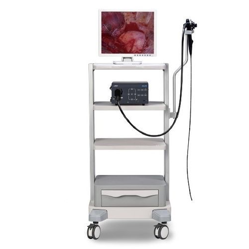 Broncoscopio veterinario video - Vetina ES3 - Shenzhen Mindray Animal Medical Technology Co., Ltd. - per animali di piccola taglia / per animali di grossa taglia / con canale operativo