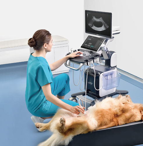 Ecografo veterinario su piattaforma - Vetus 50 - Shenzhen Mindray Animal Medical Technology Co., Ltd. - multiuso / canino / per felini