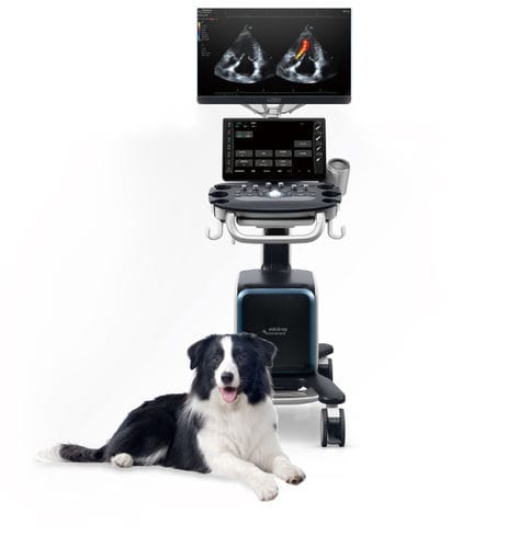 Ecografo veterinario su piattaforma - Vetus 80 - Shenzhen Mindray Animal Medical Technology Co., Ltd. - multiuso / canino / per felini
