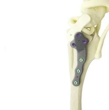 Placca ossea di compressione a uso veterinario per zampe - TPLO - Anhui Bailu Small Animal Orthopedic Instrument