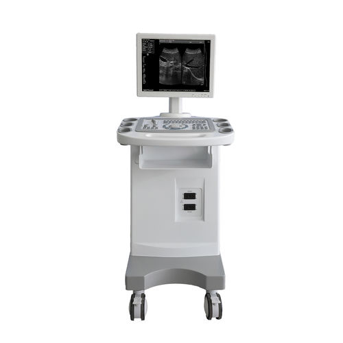 Ecografo su piattaforma - FTL-UTS1000 - Fatali Medical - per ecografia ginecologica ed ostetrica / per ecografia addomino-pelvica / per ecografia cardiovascolare