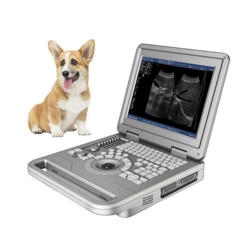 Ecografo veterinario portatile - FTL-UTS30 - Fatali Medical - multiuso / per animali di piccola taglia / in bianco e nero
