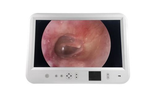 Sistema di imaging endoscopico EUS - DJSXJ-IIe - Hengyang Dajing Medical Devices Technology - broncoscopia / esofagoscopia / colonscopia