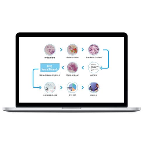 Software di gestione - RadCloud®  - Huiying Medical Technology (Beijing) Co., Ltd. - di visualizzazione / didattico / medico