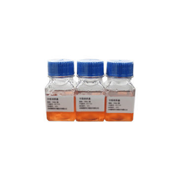 Mezzo reattivo - SN4001 - Celnovte Biotechnology Co., Ltd. - clinico / per citogenetica / per coltura cellulare