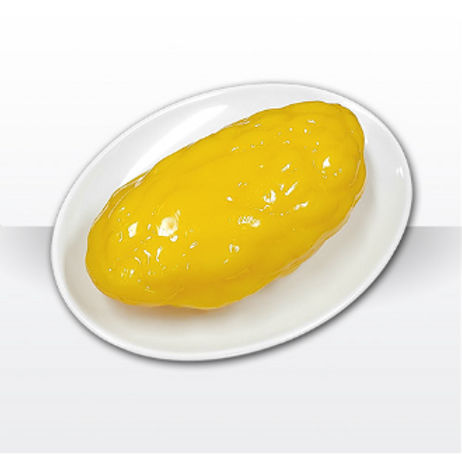 Modello anatomico corpo - my-500 - Myungmoon Medical (mymedical) - didattico / per obesità / bariatrico