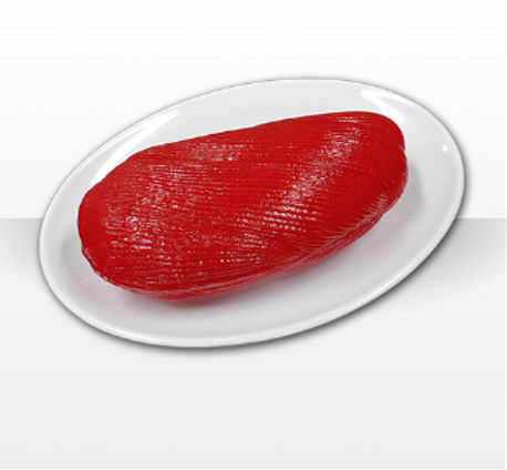 Modello anatomico di muscolo - my-500m - Myungmoon Medical (mymedical) - ad uso didattico / per obesità / rosso