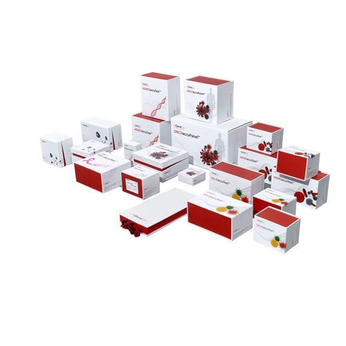 Kit di reagenti in soluzione - MTBaccuPanel™ - NGenebio - diagnostico / per sequenziamento di nuova generazione / liquido