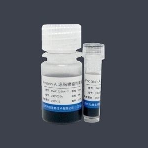 Reagente a microsfere - PMA1025AA - VDO Biotech - gel di agarosio / per purificazione di proteine / di proteine