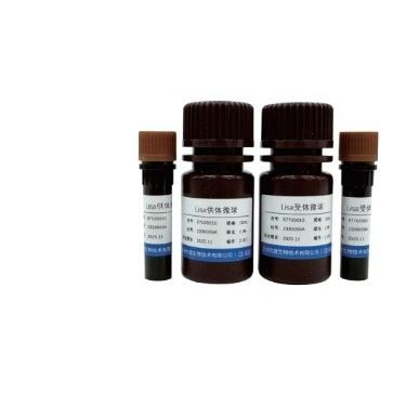 Reagente a microsfere - 67500001 - VDO Biotech - per immunoanalisi / liquido