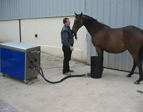 Spa per animali per equini - Mini-Spa® - Cet Equine Spa