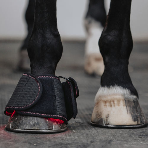Tutore walker veterinario per mammiferi - Infrapower - FMBs