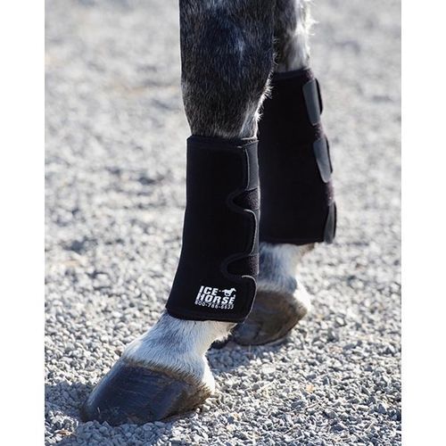 Involucro di regolazione veterinario - IceHorse® - FMBs