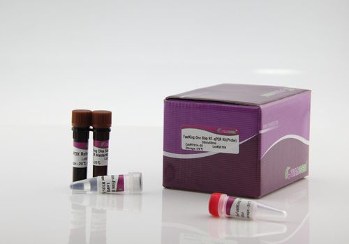 Reagente anticorpo - FastKing One Step RT-qPCR Kit - Tiangen Biotech - Taq polimerasi / transcrittasi inversa / inibitore di Rnase