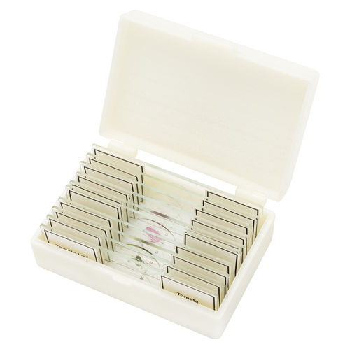 Vetrino per microscopio - 5984500 - Bresser