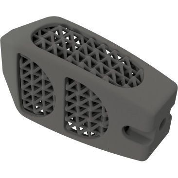 Gabbia intersomatica lombare - BMD PLIF ® - Global Biomedica - via posteriore / in titanio