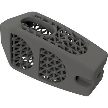 Gabbia intersomatica lombare - BMD PLIF GW ® - Global Biomedica - via posteriore / in titanio