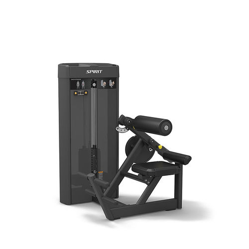Stazione per esercizi muscolari estensione del dorso - SP-4310 - SPIRIT Fitness