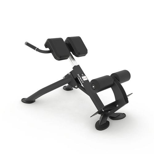 Panca per esercizi muscolari per lombari - SP-4220 - SPIRIT Fitness