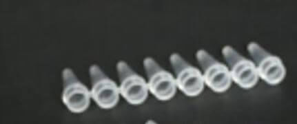 Provetta da laboratorio - YPT8-0.2-T - Mountain Scientific Inc - per PCR / per DNA / per RNA