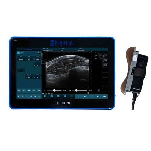 Scanner del grasso dorsale per animali di grossa taglia - BXL-DB20 - Zhengzhou Boxianglai Electronic Sci-tech Co.,Ltd