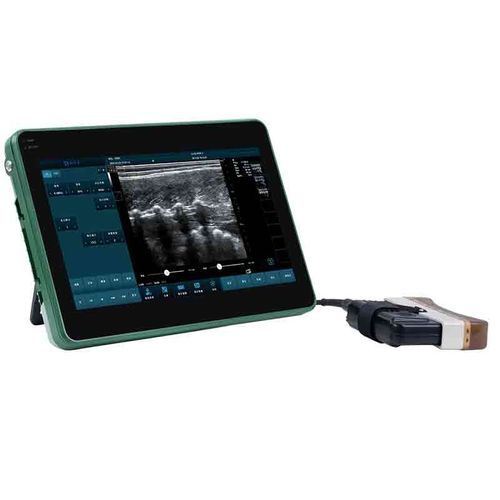 Scanner del grasso dorsale per bovini - BXL-DZ20 - Zhengzhou Boxianglai Electronic Sci-tech Co.,Ltd - per ovini / per gatti / per cani