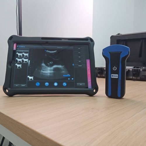 Ecografo veterinario portatile - BXL-S101 lPX7  - Zhengzhou Boxianglai Electronic Sci-tech Co.,Ltd - multiuso / per ovini