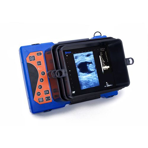 Ecografo veterinario portatile - BXL-V50 - Zhengzhou Boxianglai Electronic Sci-tech Co.,Ltd - multiuso / per bovini / per ovini