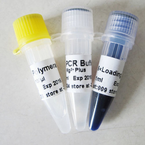 Reagente soluzione tampone - P1011 500U  - Guangzhou Dongsheng Biotech Co., Ltd. - enzima / DNA polimerasi / Taq polimerasi
