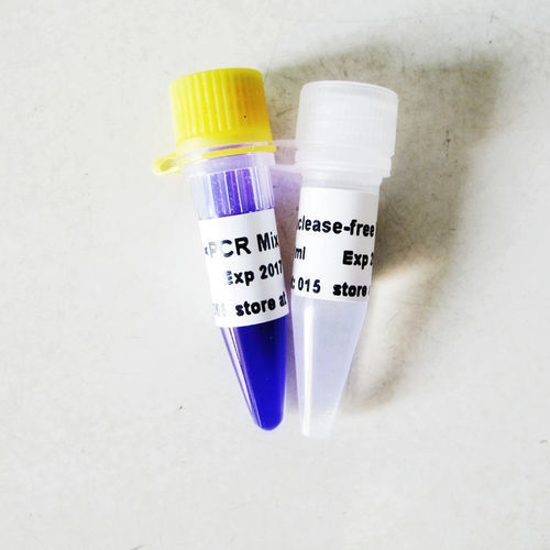 Reagente in soluzione - P2011 - Guangzhou Dongsheng Biotech Co., Ltd. - soluzione tampone / DNA polimerasi / Taq polimerasi