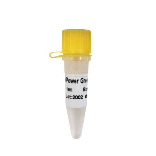 Kit di reagenti Taq polimerasi - P2101 - Guangzhou Dongsheng Biotech Co., Ltd. - per PCR