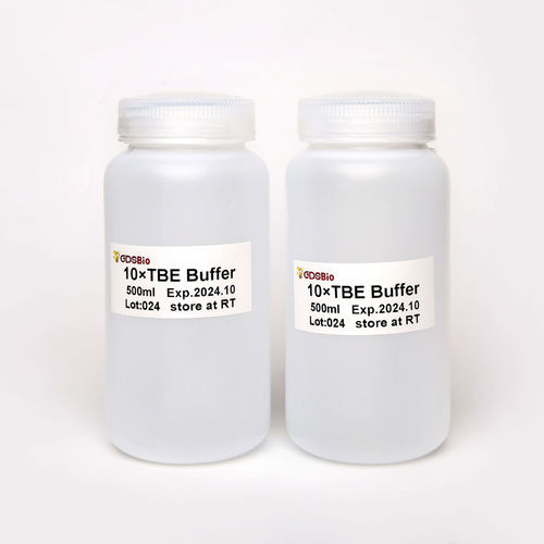 Reagente soluzione tampone - TBE  - Guangzhou Dongsheng Biotech Co., Ltd. - per elettroforesi / liquido / di pH
