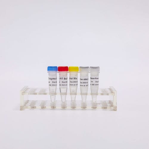 Kit di reagenti transcrittasi inversa - R1031 - Guangzhou Dongsheng Biotech Co., Ltd. - colorante / per RT-PCR / per qPCR