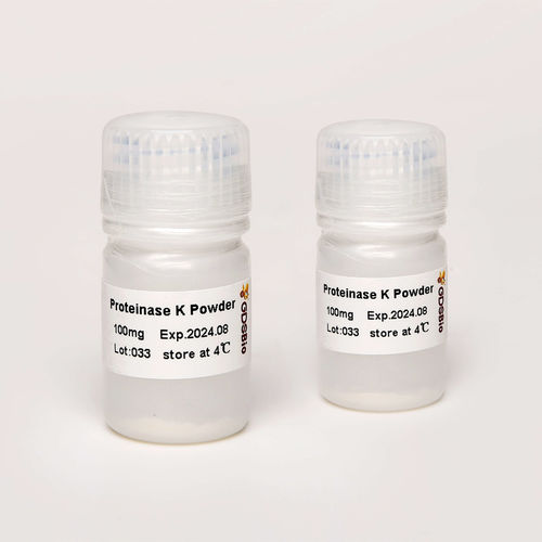 Reagente tampone di diluizione - N9016 - Guangzhou Dongsheng Biotech Co., Ltd. - proteasi / proteinasi K / da ricerca