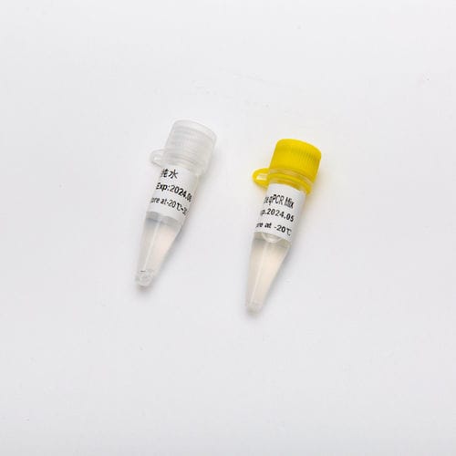 Reagente Taq polimerasi - HS - Guangzhou Dongsheng Biotech Co., Ltd. - per PCR real-time