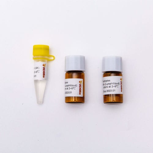 Reagente enzima - DSPath™ - Guangzhou Dongsheng Biotech Co., Ltd. - Taq polimerasi / transcrittasi inversa / inibitore di Rnase