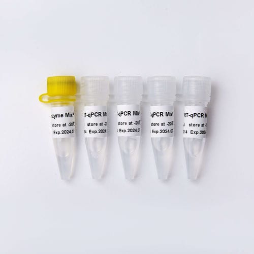 Kit di reagenti DNA polimerasi - V2 - Guangzhou Dongsheng Biotech Co., Ltd. - transcrittasi inversa / per Rt-qPCR
