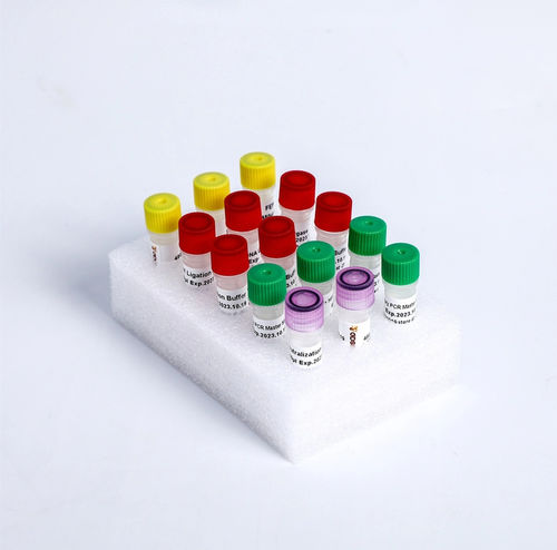 Kit di reagenti enzima - K004-A - Guangzhou Dongsheng Biotech Co., Ltd. - DNA ligasi / colorante / NGS