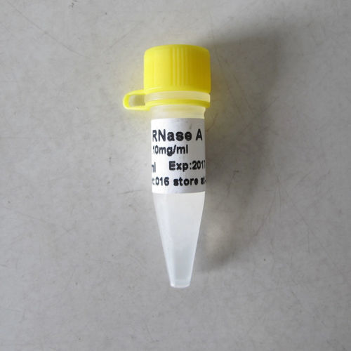 Reagente soluzione tampone - N9041 - Guangzhou Dongsheng Biotech Co., Ltd. - enzima / per rilevamento di mutazioni / di proteine