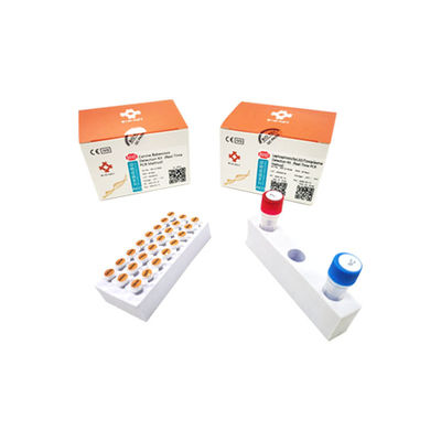 Kit di test della leptospirosi - BIK-Q-P028 - Biokey Health - canino / di Toxoplasma gondii / di sangue totale
