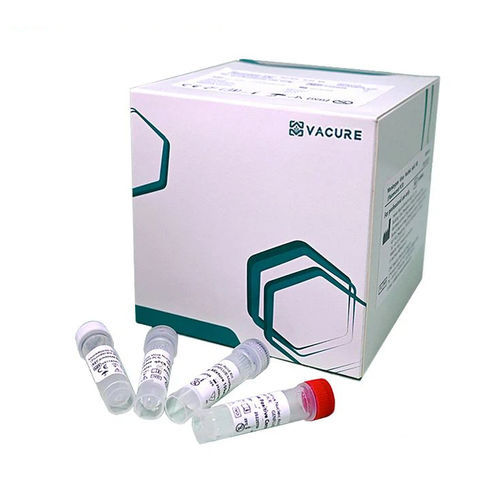 Kit di reagenti in soluzione - GINMK24 - Chengdu Vacure Biotechnology Co., Ltd - per acidi nucleici / liquido / di piombo