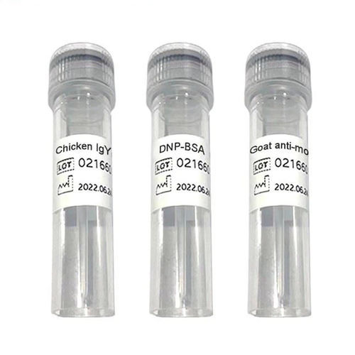 Reagente anticorpo - C-line - Chengdu Vacure Biotechnology Co., Ltd - antigeno / cardiaco / d'IgG