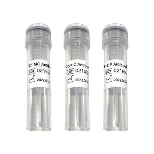 Reagente anticorpo - Ab1009 series - Chengdu Vacure Biotechnology Co., Ltd - antigeno / cardiaco / liquido