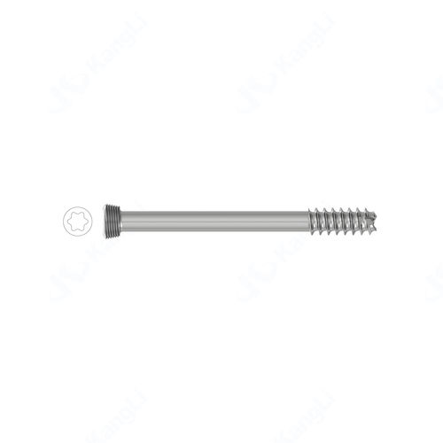 Vite per impianto dentale in titanio - T48020 - Kangli Medical