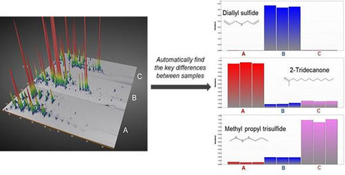 Software medico - ChromCompare+ - SepSolve - per cromatografia / di analisi di dati / di trattamento dati