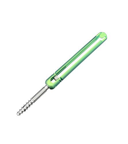 Vite peduncolare generica - Chongqing FWS Medical Device - poliassiale / monoassiale / canalare