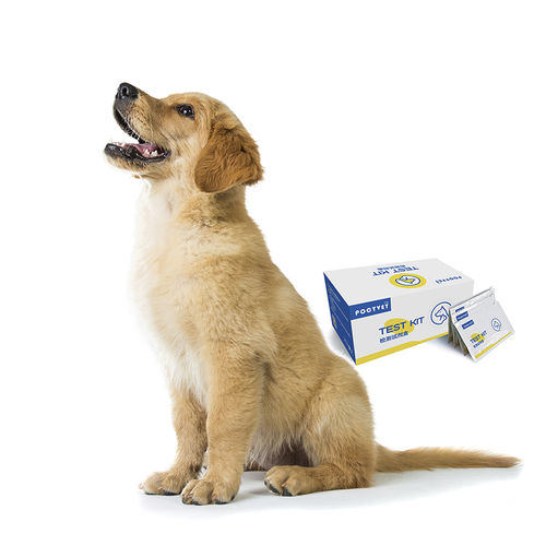 Kit di test del tumore del pancreas - Poclight - veterinario / per animali / canino