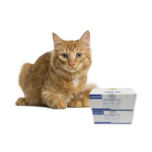 Kit di test del tumore del pancreas - Poclight - veterinario / per felini / tramite immunocheluminescenza