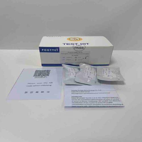 Kit di test per malattie infettive - Poclight - veterinario / per felini / di NT-proBNP